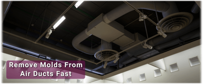 Air Duct Mold Removal in Marietta
