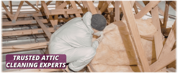 Attic Cleaning Marietta